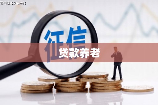营口贷款养老