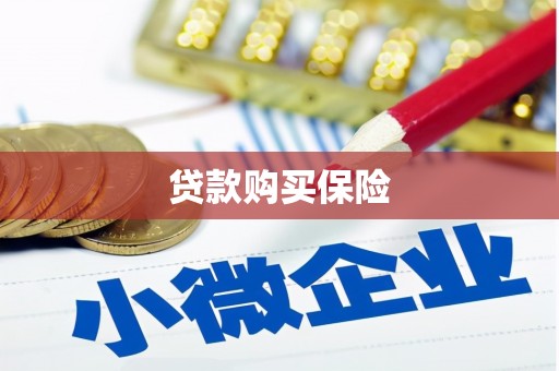 营口贷款购买保险