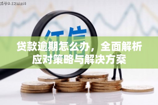 营口贷款逾期怎么办，全面解析应对策略与解决方案