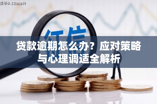 营口贷款逾期怎么办？应对策略与心理调适全解析