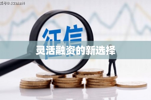 营口灵活融资的新选择