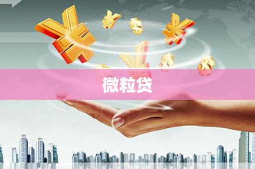营口微粒贷