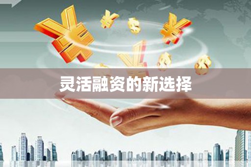 营口灵活融资的新选择