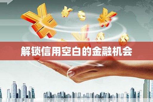 营口解锁信用空白的金融机会