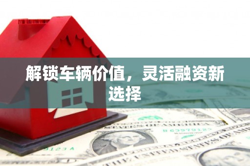 营口解锁车辆价值，灵活融资新选择