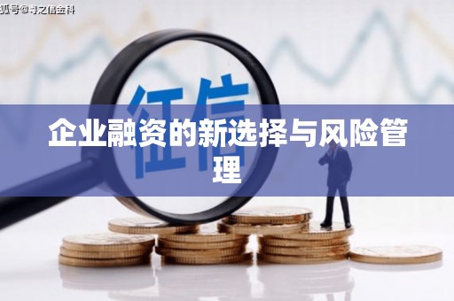 营口企业融资的新选择与风险管理