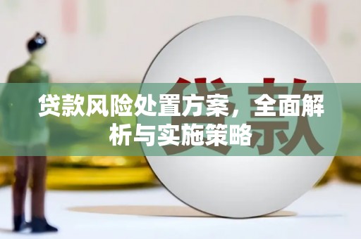 营口贷款风险处置方案，全面解析与实施策略