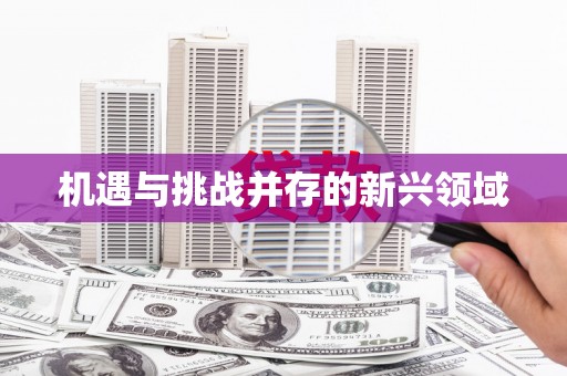 营口机遇与挑战并存的新兴领域