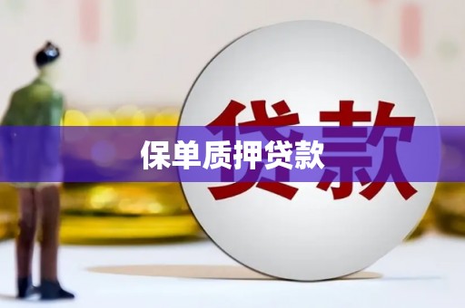 营口保单质押贷款