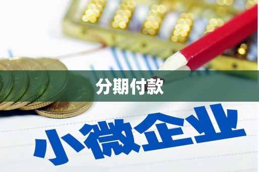 营口分期付款