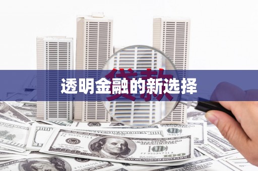 营口透明金融的新选择