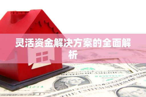 营口灵活资金解决方案的全面解析