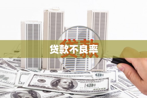 营口贷款不良率