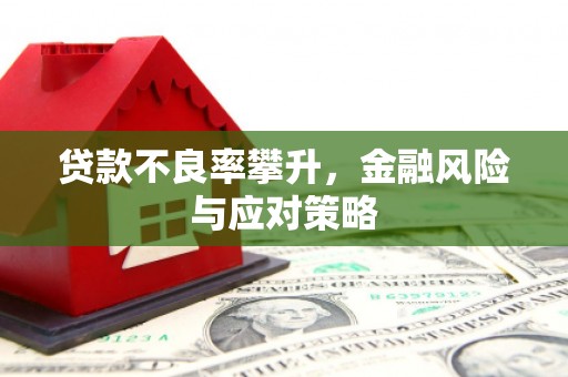营口贷款不良率攀升，金融风险与应对策略