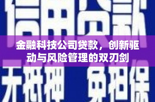 营口金融科技公司贷款，创新驱动与风险管理的双刃剑